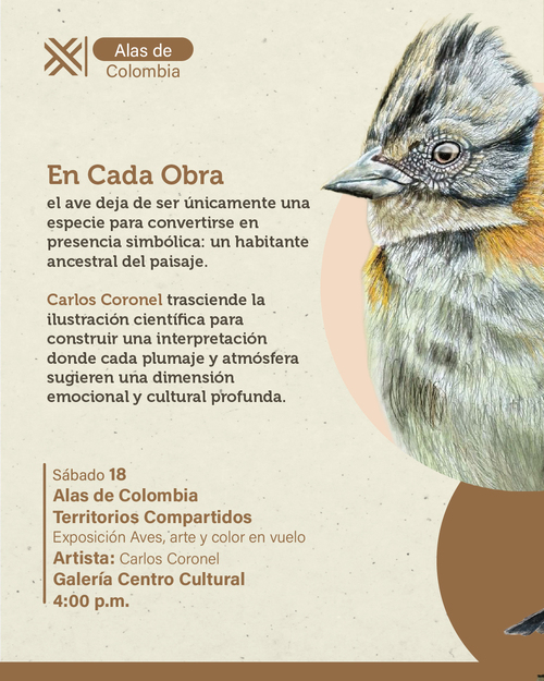 Imagen del evento